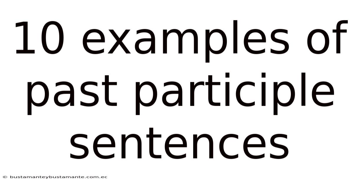 10 Examples Of Past Participle Sentences