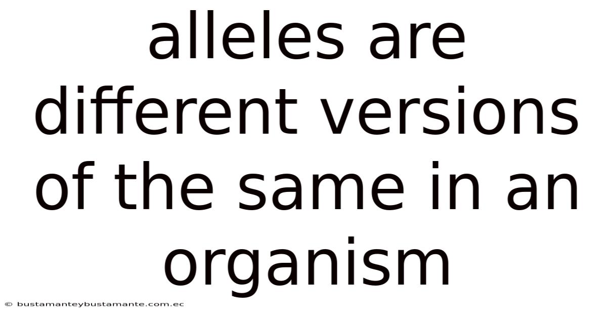 Alleles Are Different Versions Of The Same In An Organism