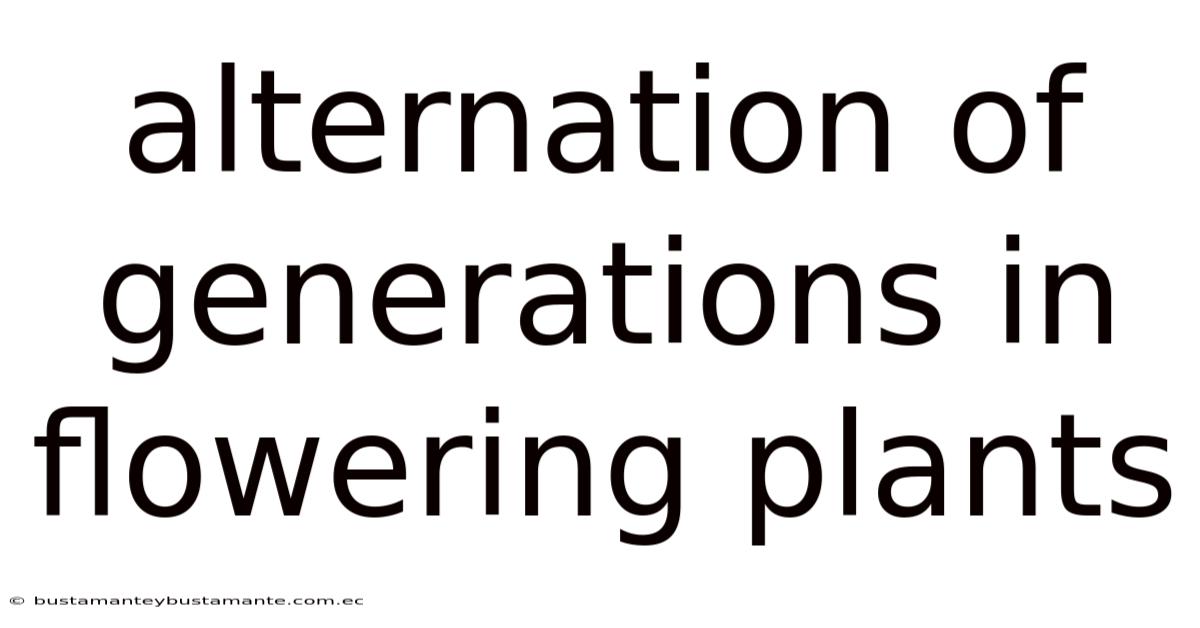 Alternation Of Generations In Flowering Plants
