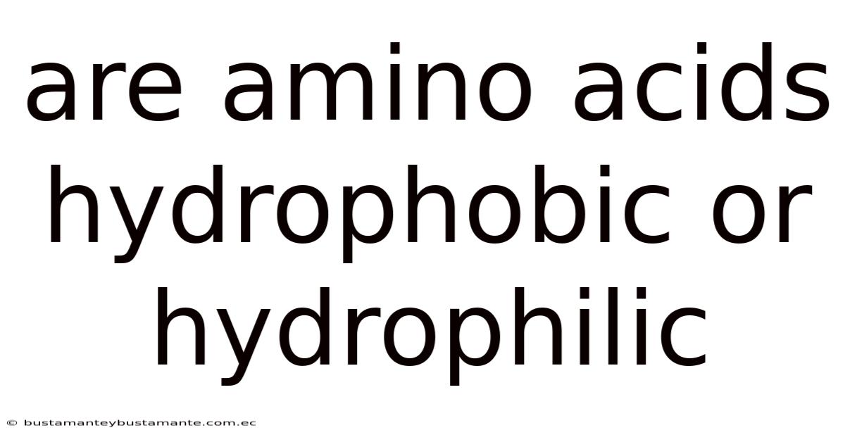 Are Amino Acids Hydrophobic Or Hydrophilic