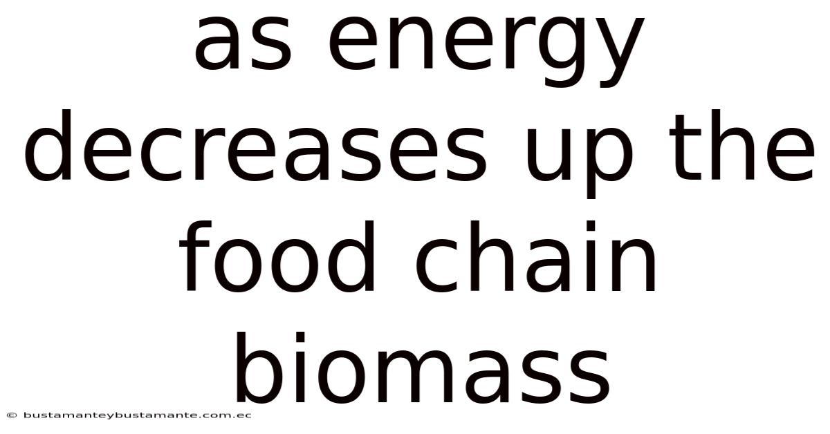 As Energy Decreases Up The Food Chain Biomass