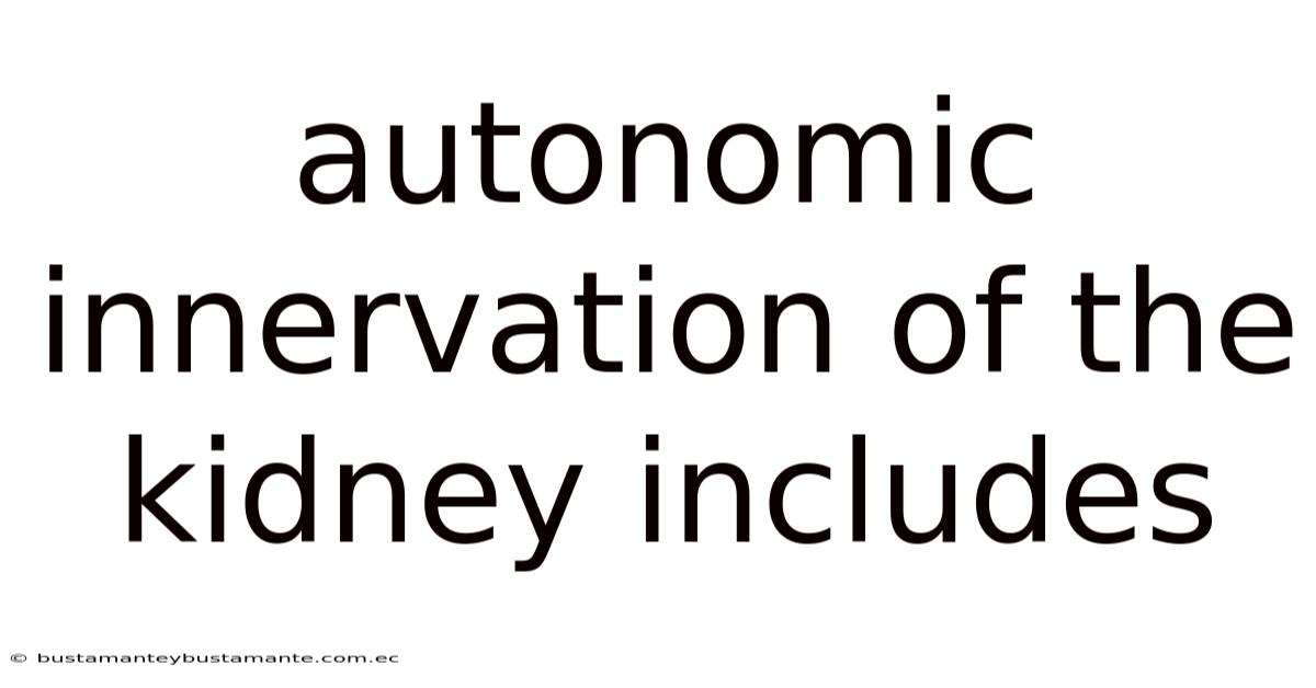 Autonomic Innervation Of The Kidney Includes