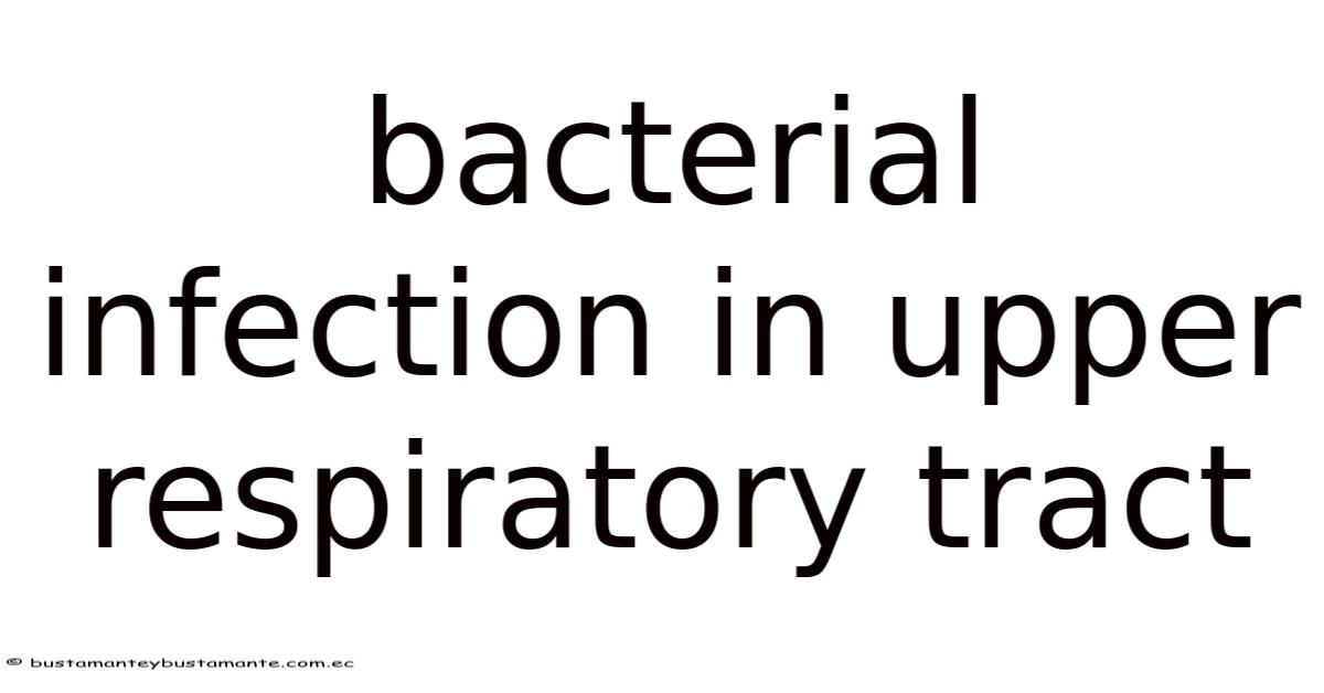Bacterial Infection In Upper Respiratory Tract