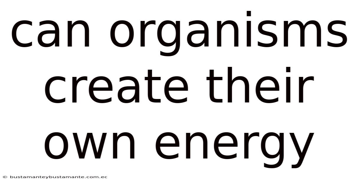 Can Organisms Create Their Own Energy