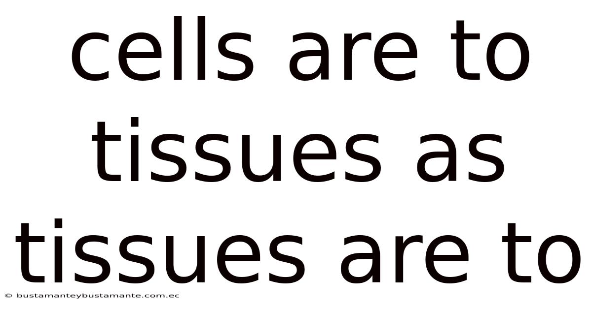Cells Are To Tissues As Tissues Are To