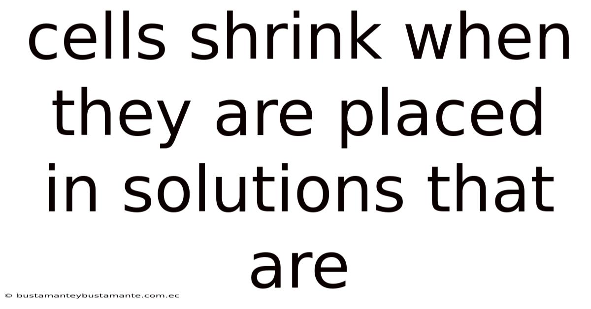 Cells Shrink When They Are Placed In Solutions That Are
