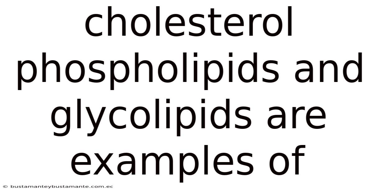 Cholesterol Phospholipids And Glycolipids Are Examples Of