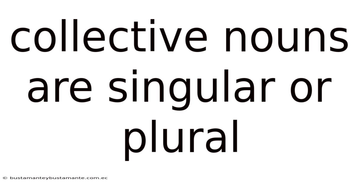 Collective Nouns Are Singular Or Plural