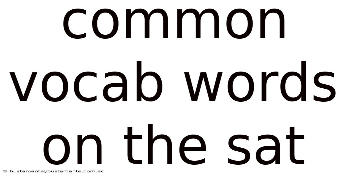 Common Vocab Words On The Sat