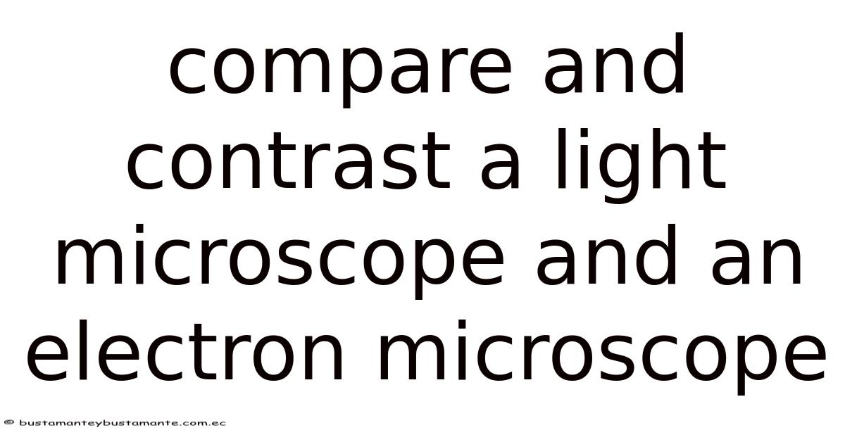Compare And Contrast A Light Microscope And An Electron Microscope