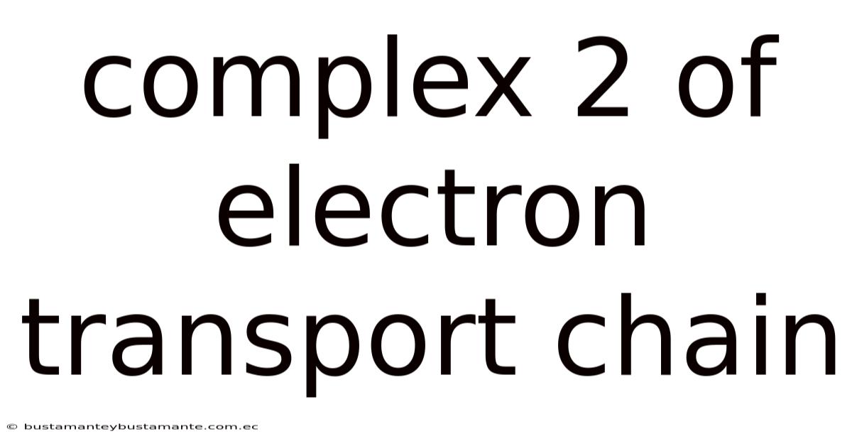 Complex 2 Of Electron Transport Chain