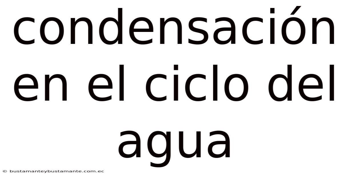 Condensación En El Ciclo Del Agua