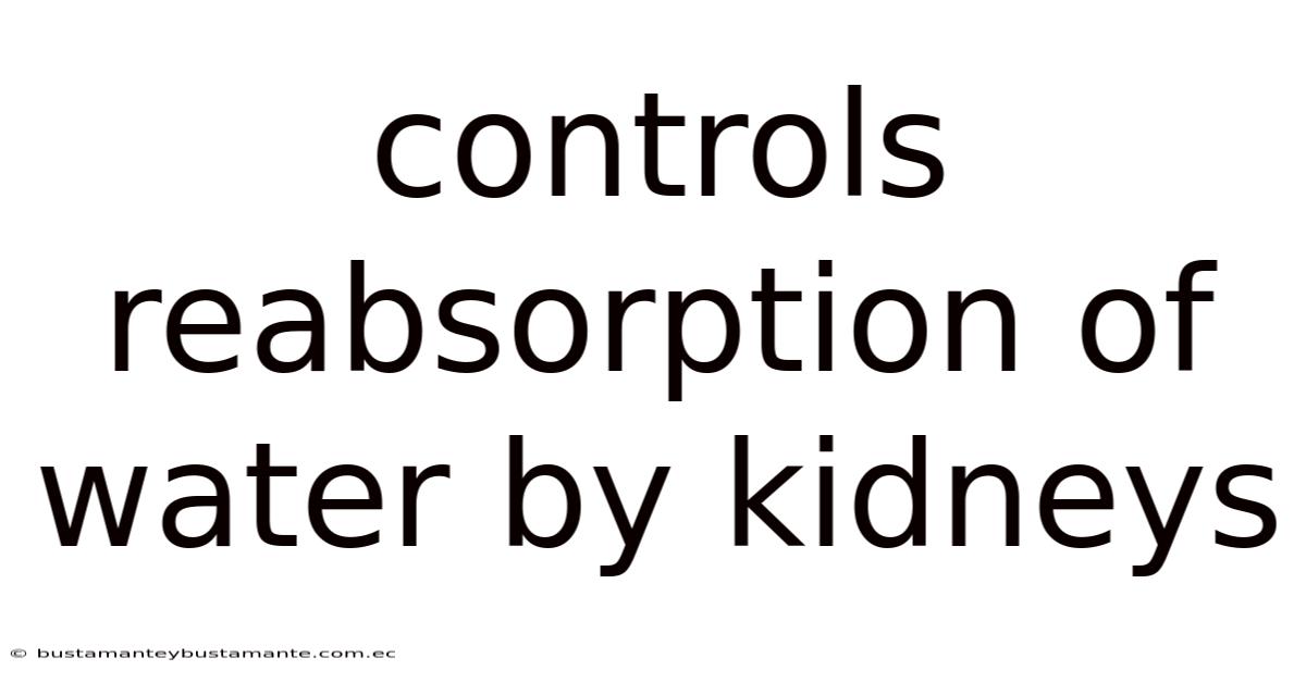 Controls Reabsorption Of Water By Kidneys