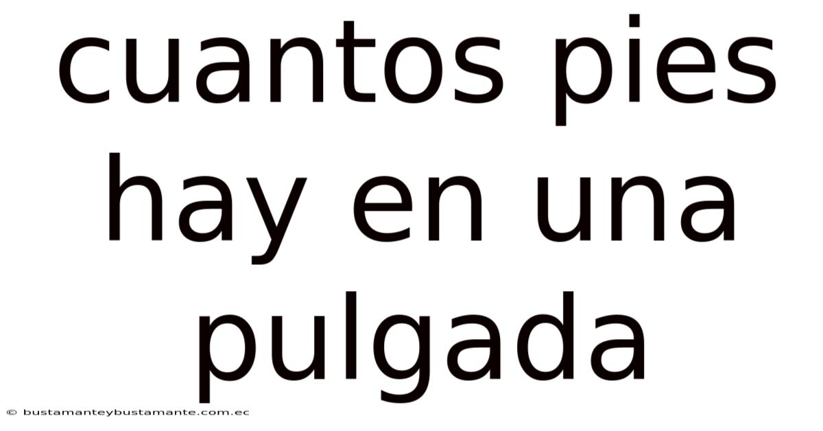 Cuantos Pies Hay En Una Pulgada