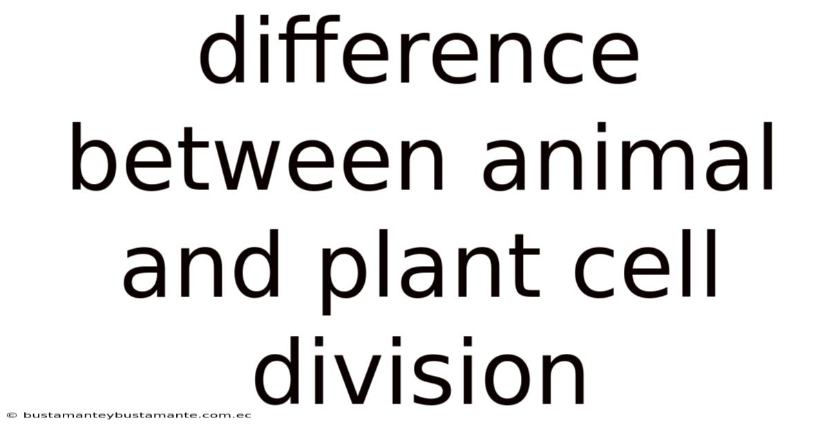 Difference Between Animal And Plant Cell Division