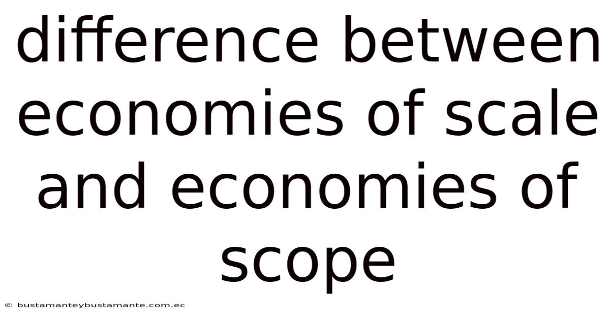Difference Between Economies Of Scale And Economies Of Scope