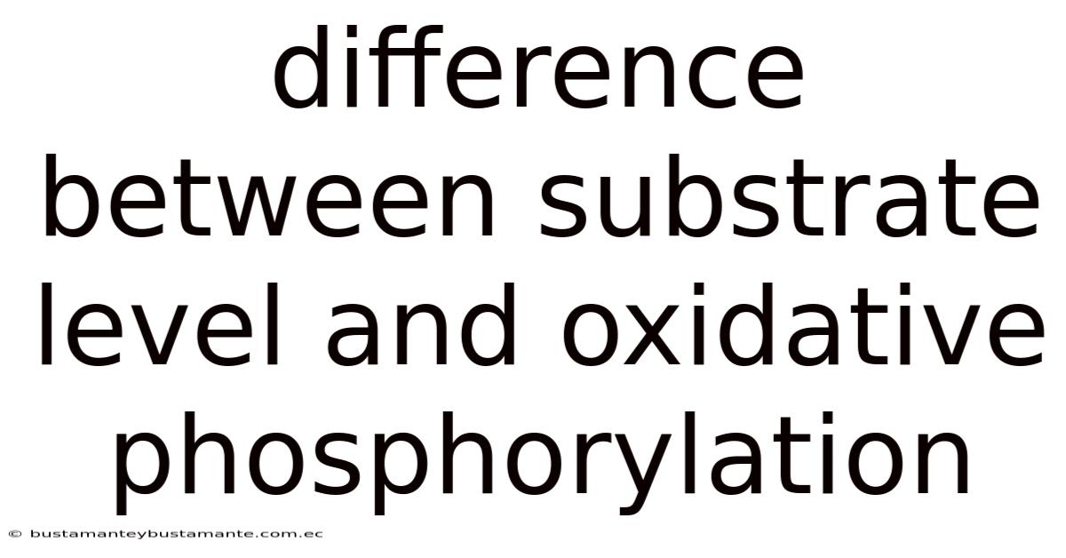 Difference Between Substrate Level And Oxidative Phosphorylation