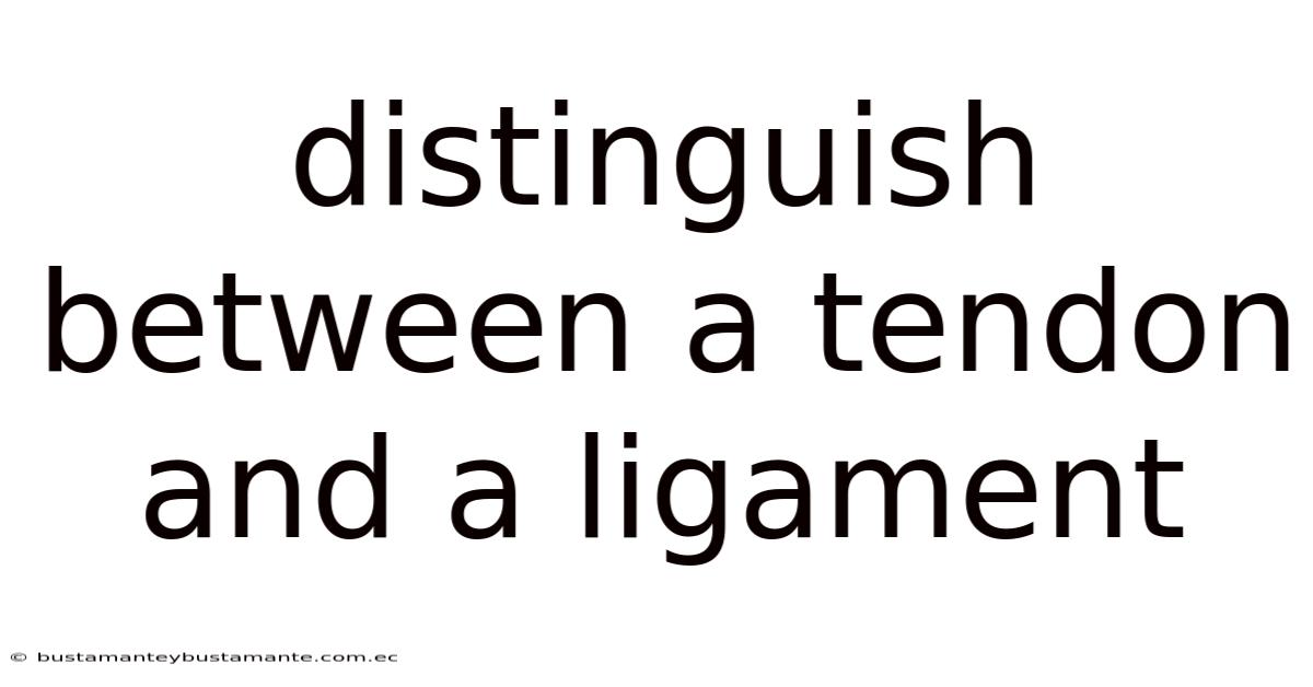 Distinguish Between A Tendon And A Ligament