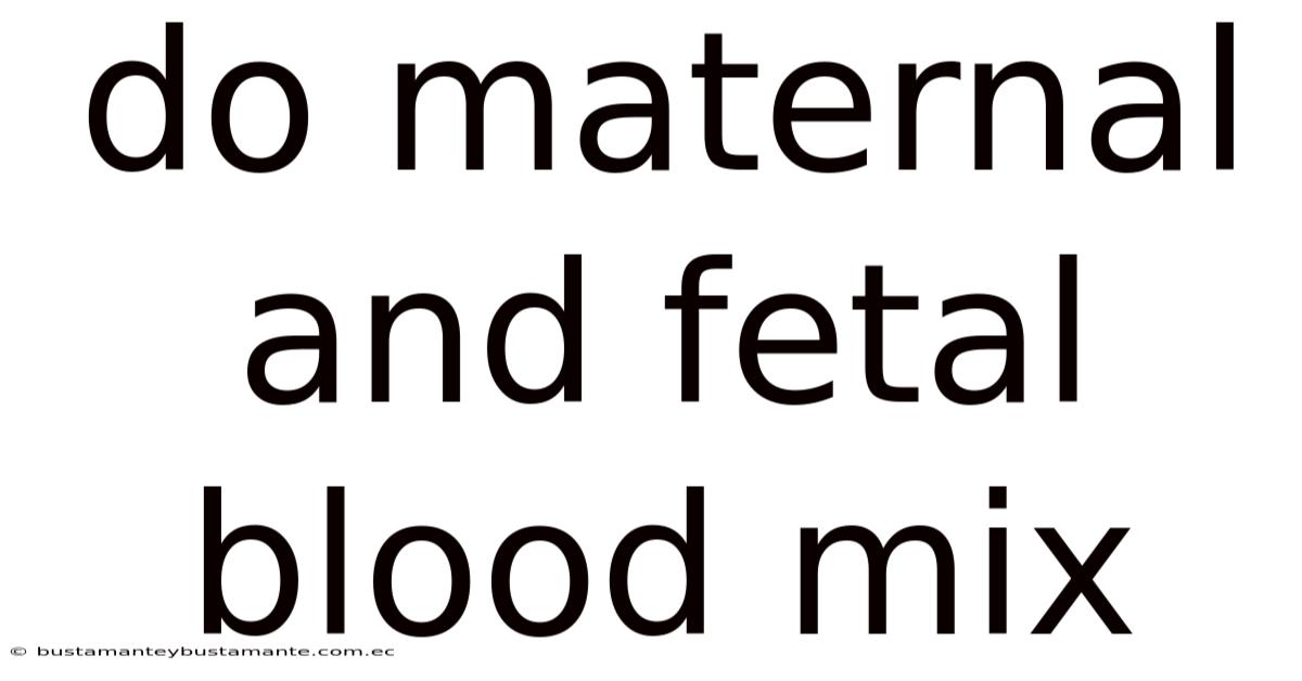 Do Maternal And Fetal Blood Mix