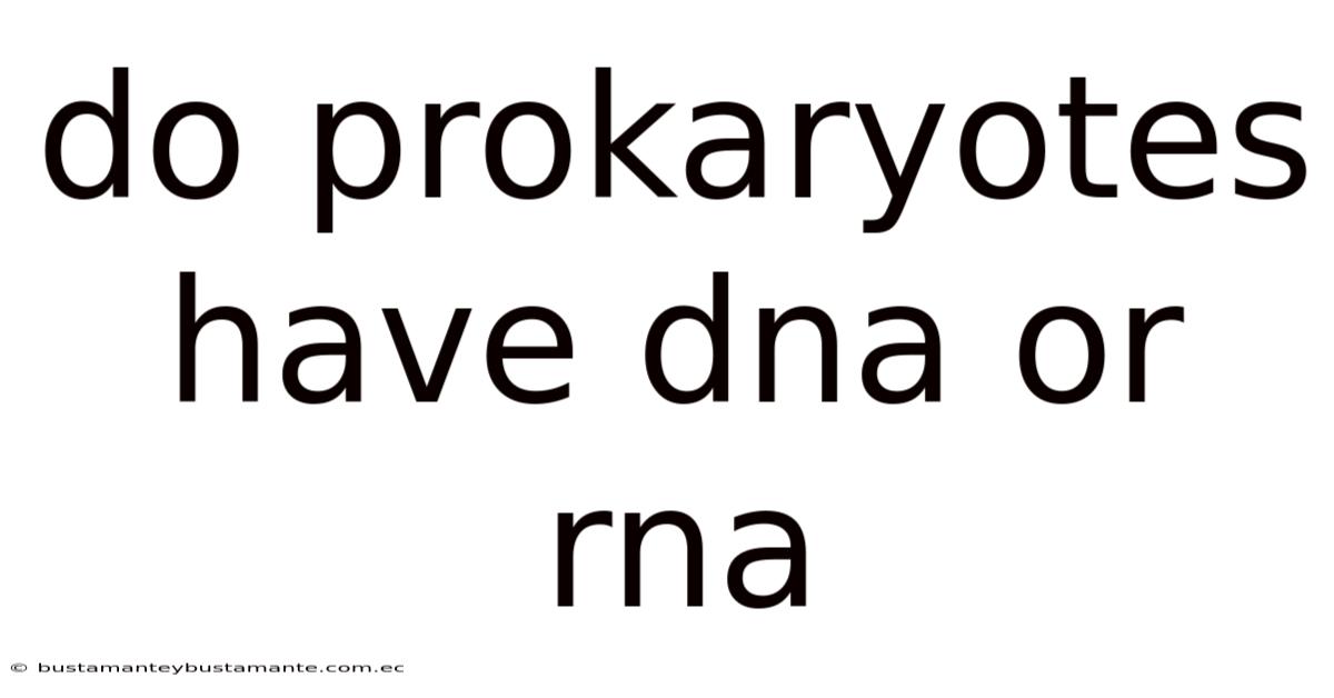 Do Prokaryotes Have Dna Or Rna