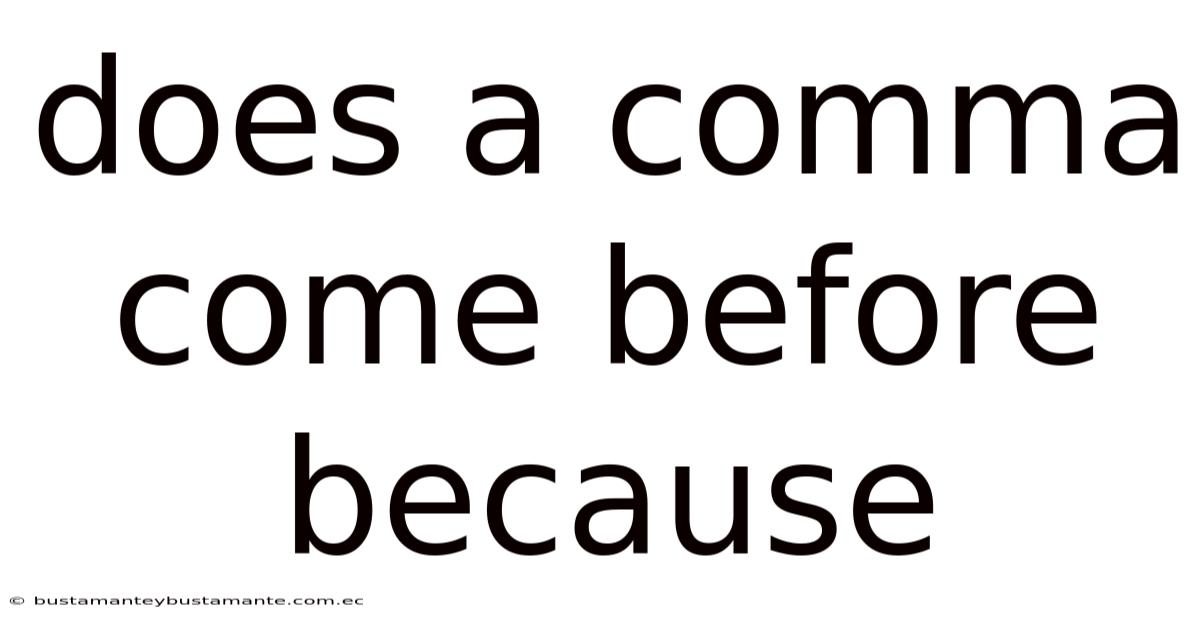 Does A Comma Come Before Because