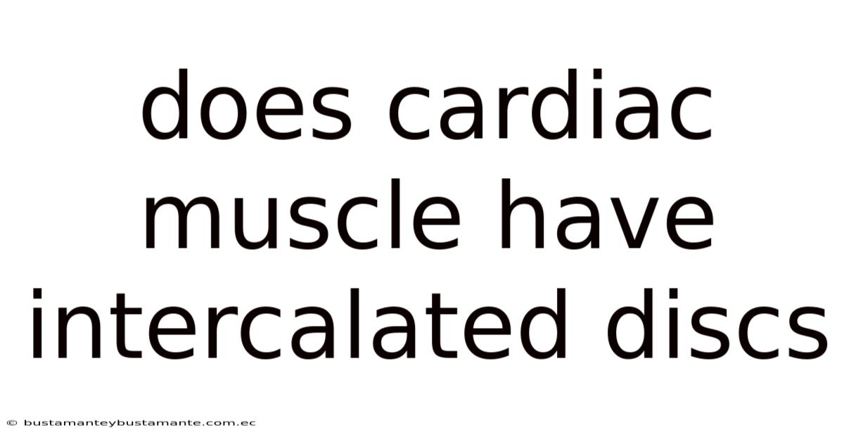 Does Cardiac Muscle Have Intercalated Discs