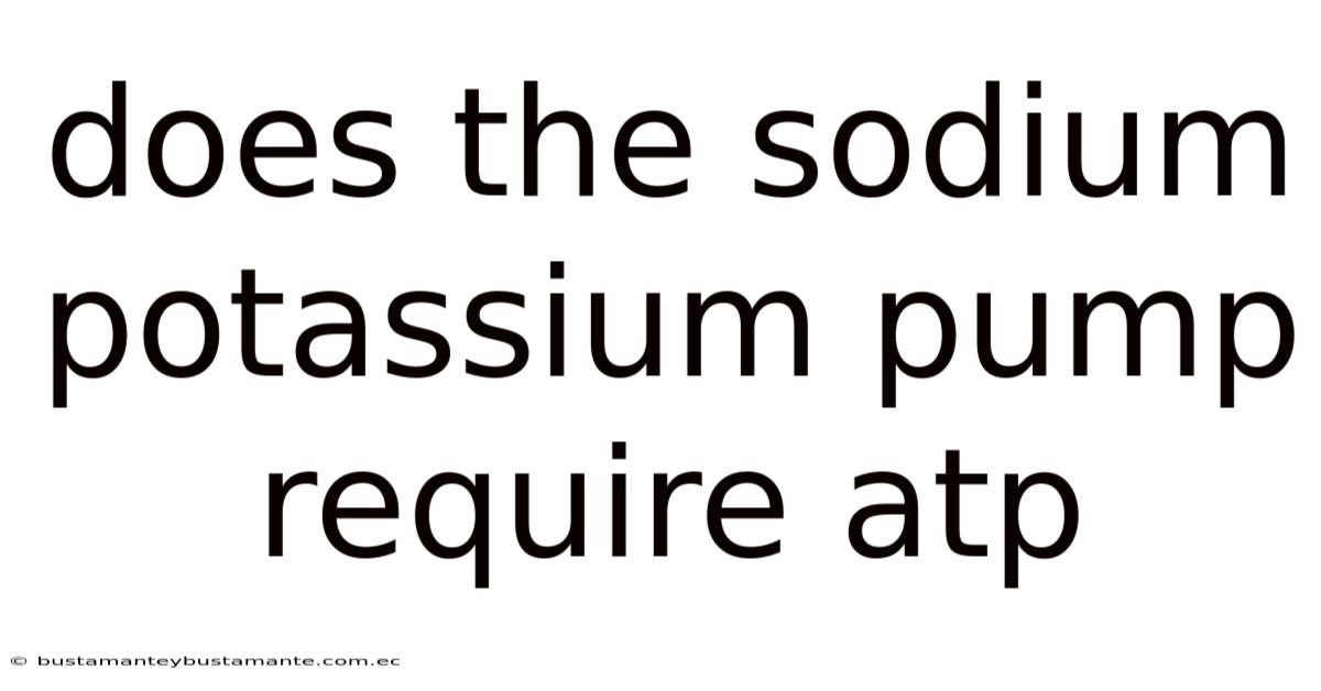 Does The Sodium Potassium Pump Require Atp