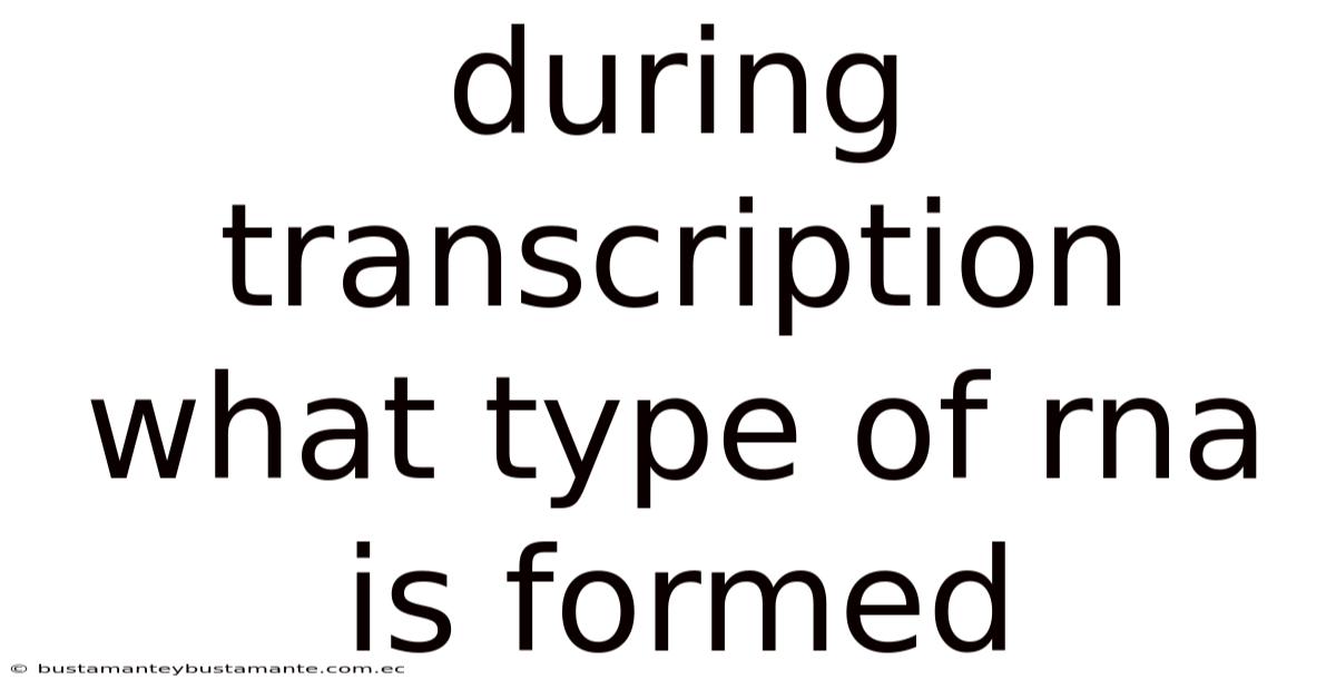 During Transcription What Type Of Rna Is Formed