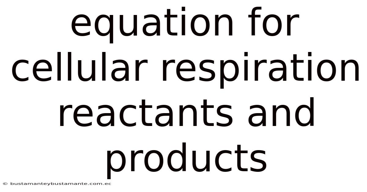 Equation For Cellular Respiration Reactants And Products