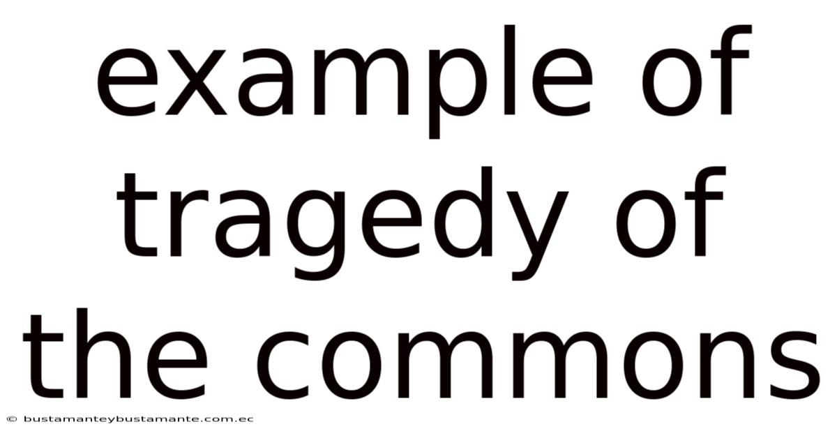 Example Of Tragedy Of The Commons
