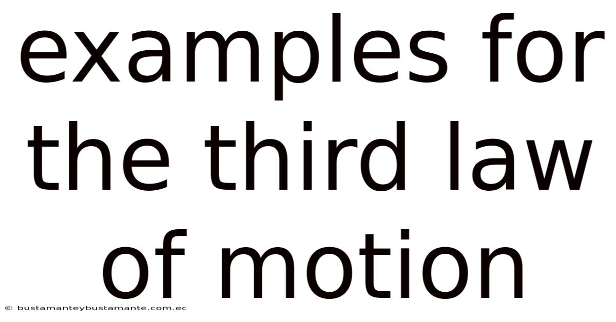 Examples For The Third Law Of Motion