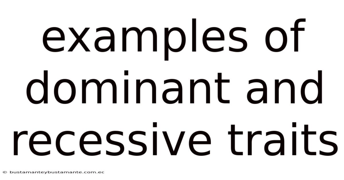 Examples Of Dominant And Recessive Traits
