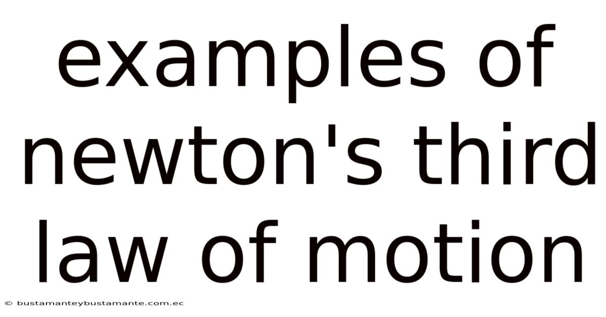 Examples Of Newton's Third Law Of Motion
