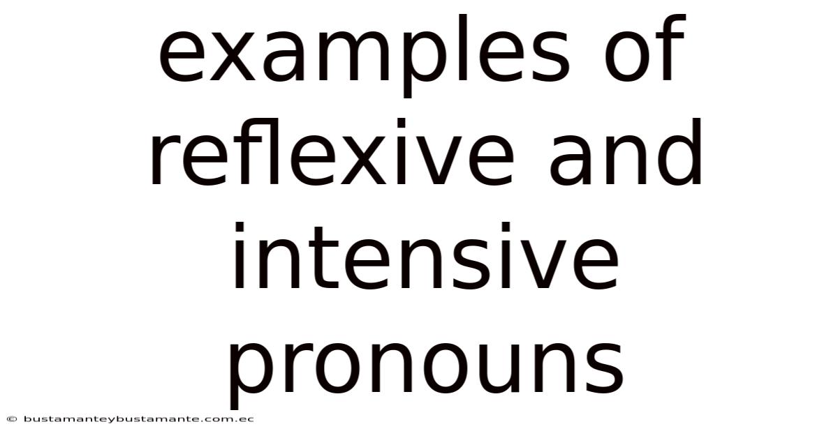Examples Of Reflexive And Intensive Pronouns