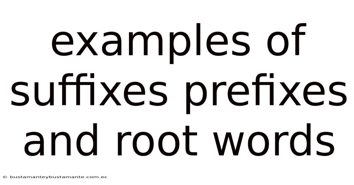 Examples Of Suffixes Prefixes And Root Words