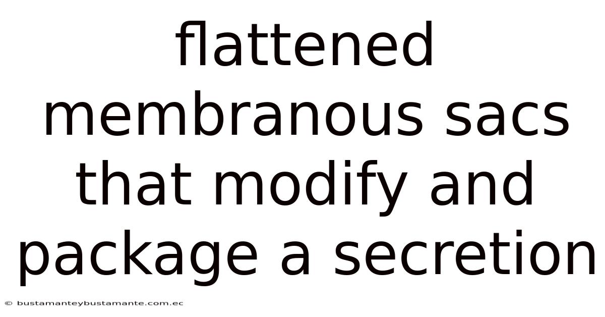 Flattened Membranous Sacs That Modify And Package A Secretion
