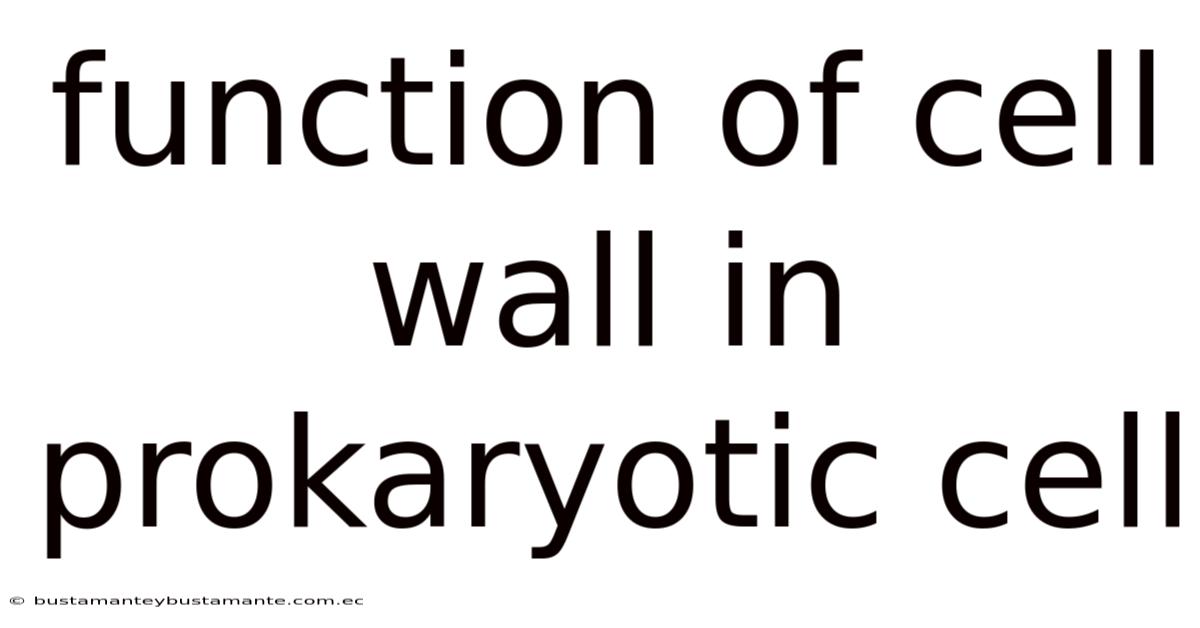 Function Of Cell Wall In Prokaryotic Cell