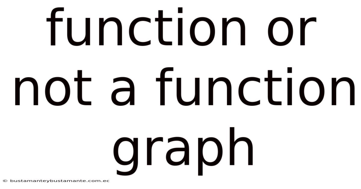 Function Or Not A Function Graph