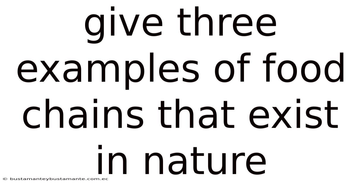 Give Three Examples Of Food Chains That Exist In Nature