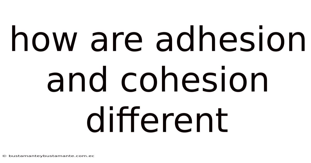 How Are Adhesion And Cohesion Different