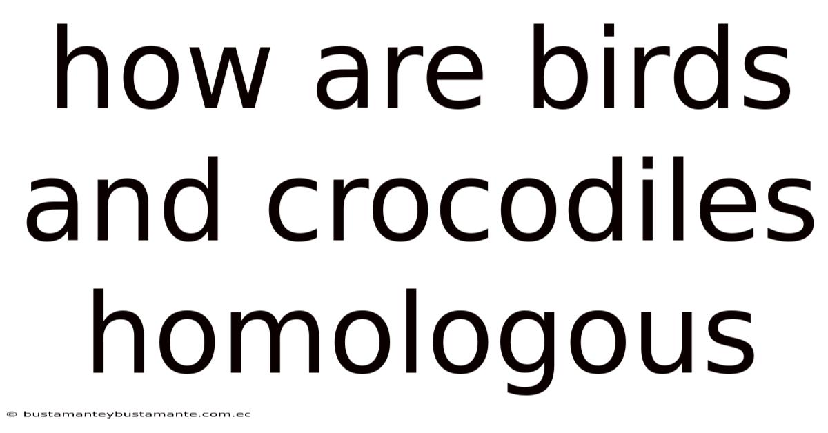How Are Birds And Crocodiles Homologous