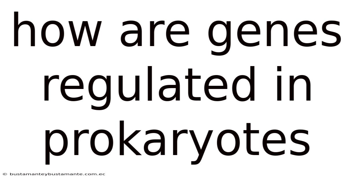 How Are Genes Regulated In Prokaryotes
