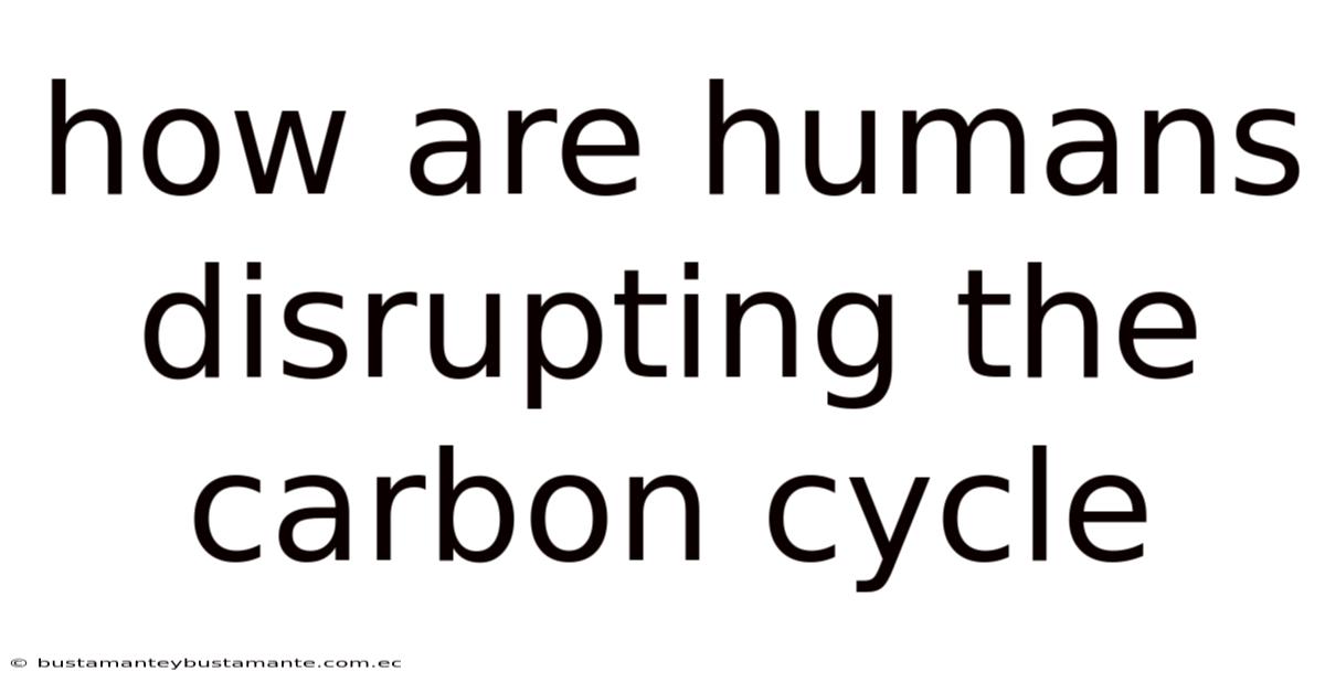 How Are Humans Disrupting The Carbon Cycle