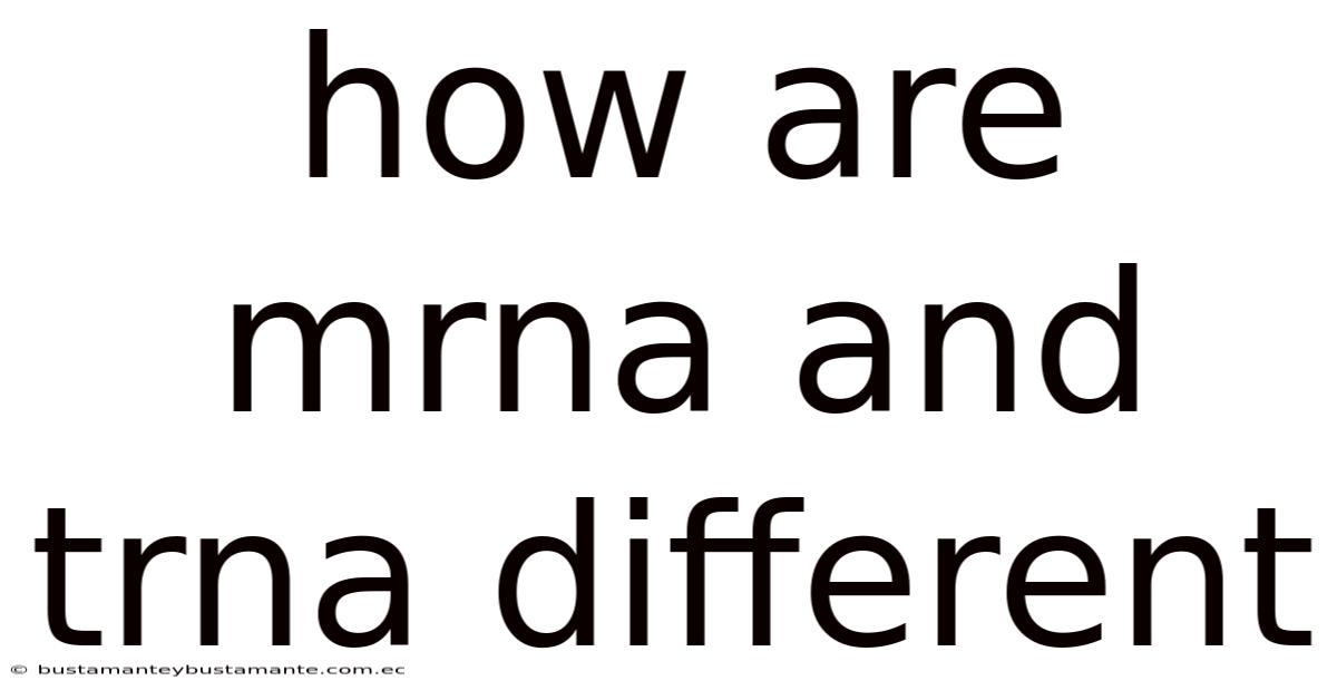 How Are Mrna And Trna Different