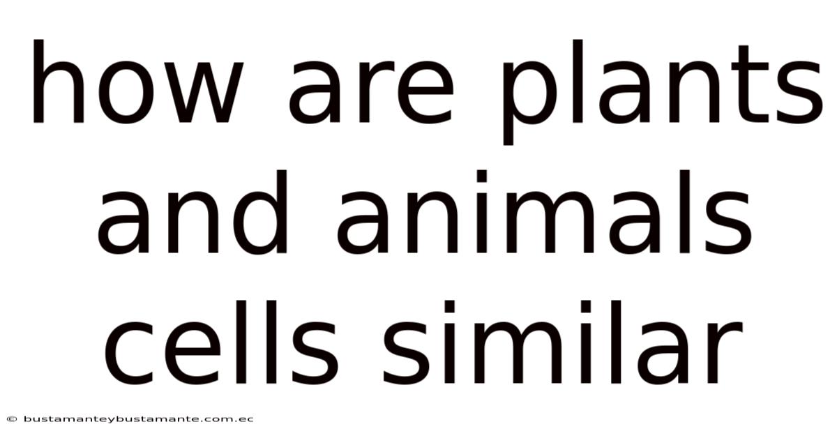 How Are Plants And Animals Cells Similar