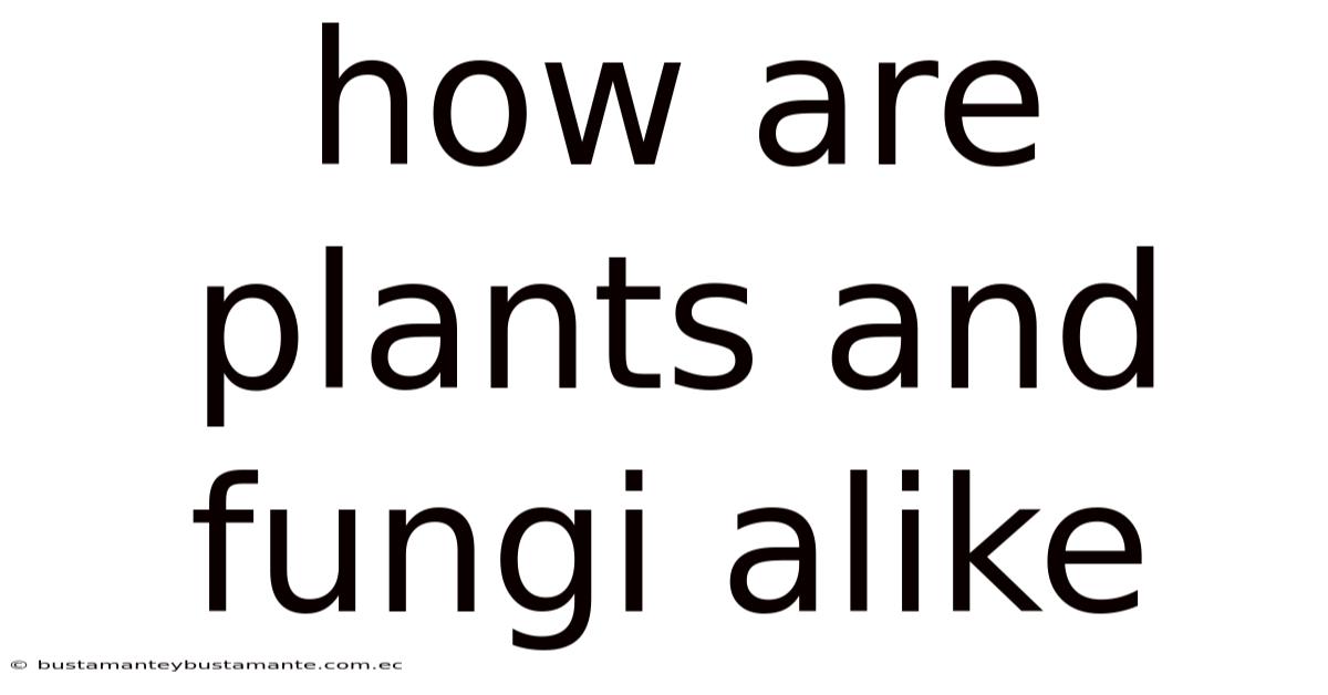 How Are Plants And Fungi Alike