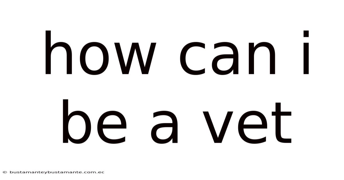 How Can I Be A Vet