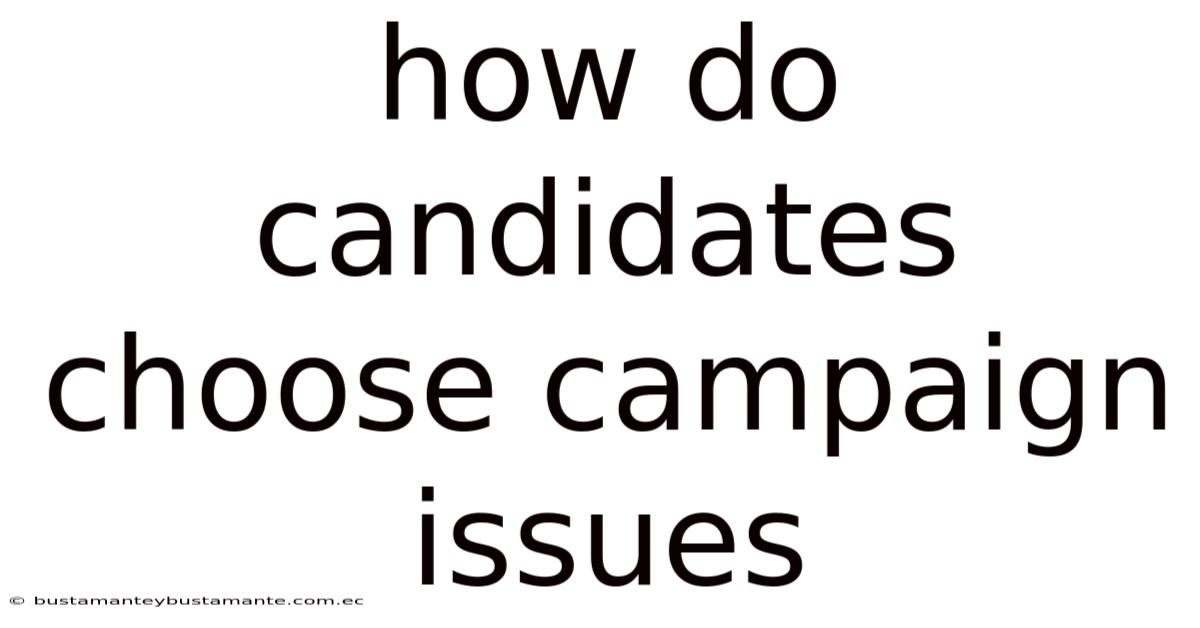 How Do Candidates Choose Campaign Issues