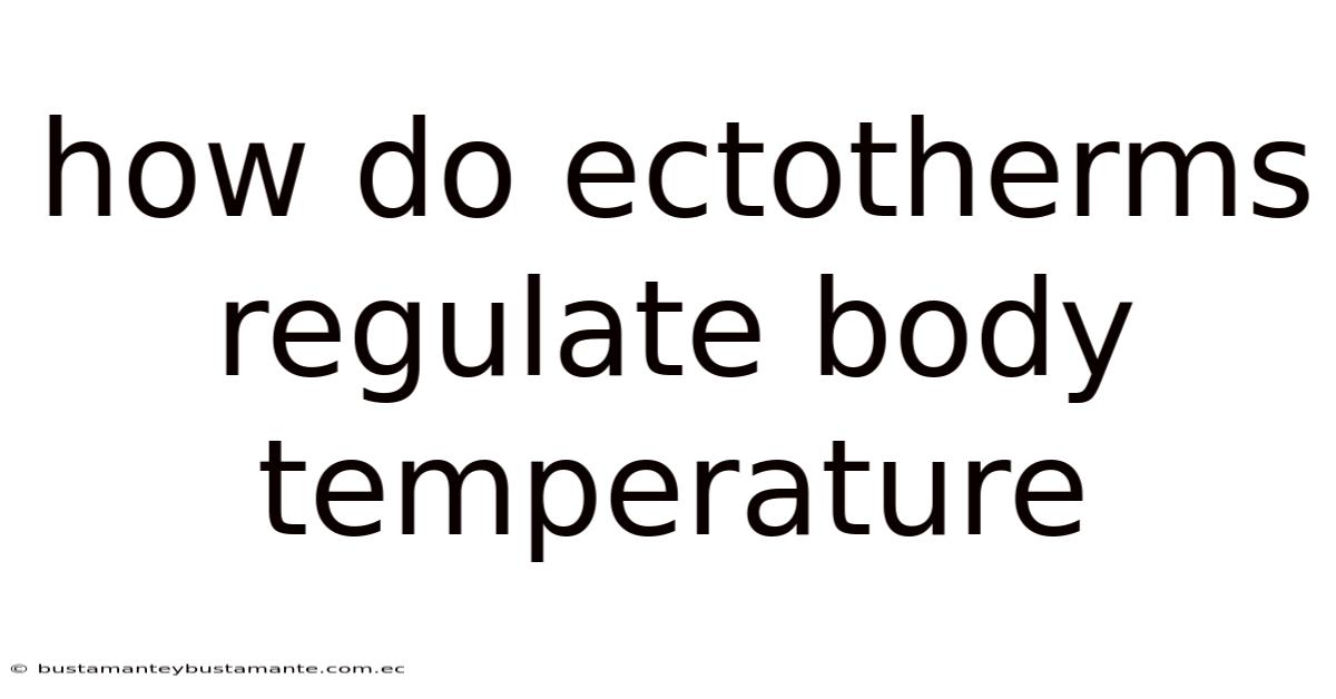 How Do Ectotherms Regulate Body Temperature