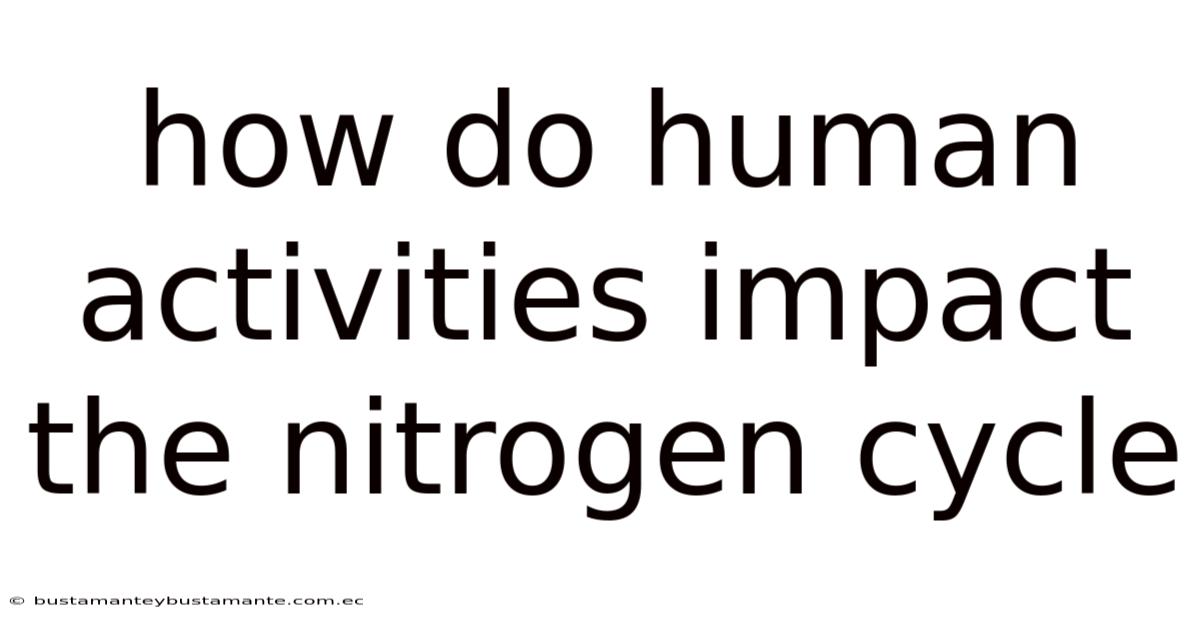 How Do Human Activities Impact The Nitrogen Cycle